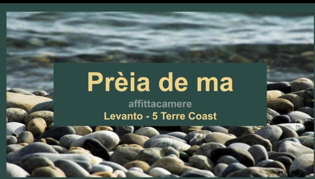 Hotel Preia De Ma Levanto Exteriér fotografie